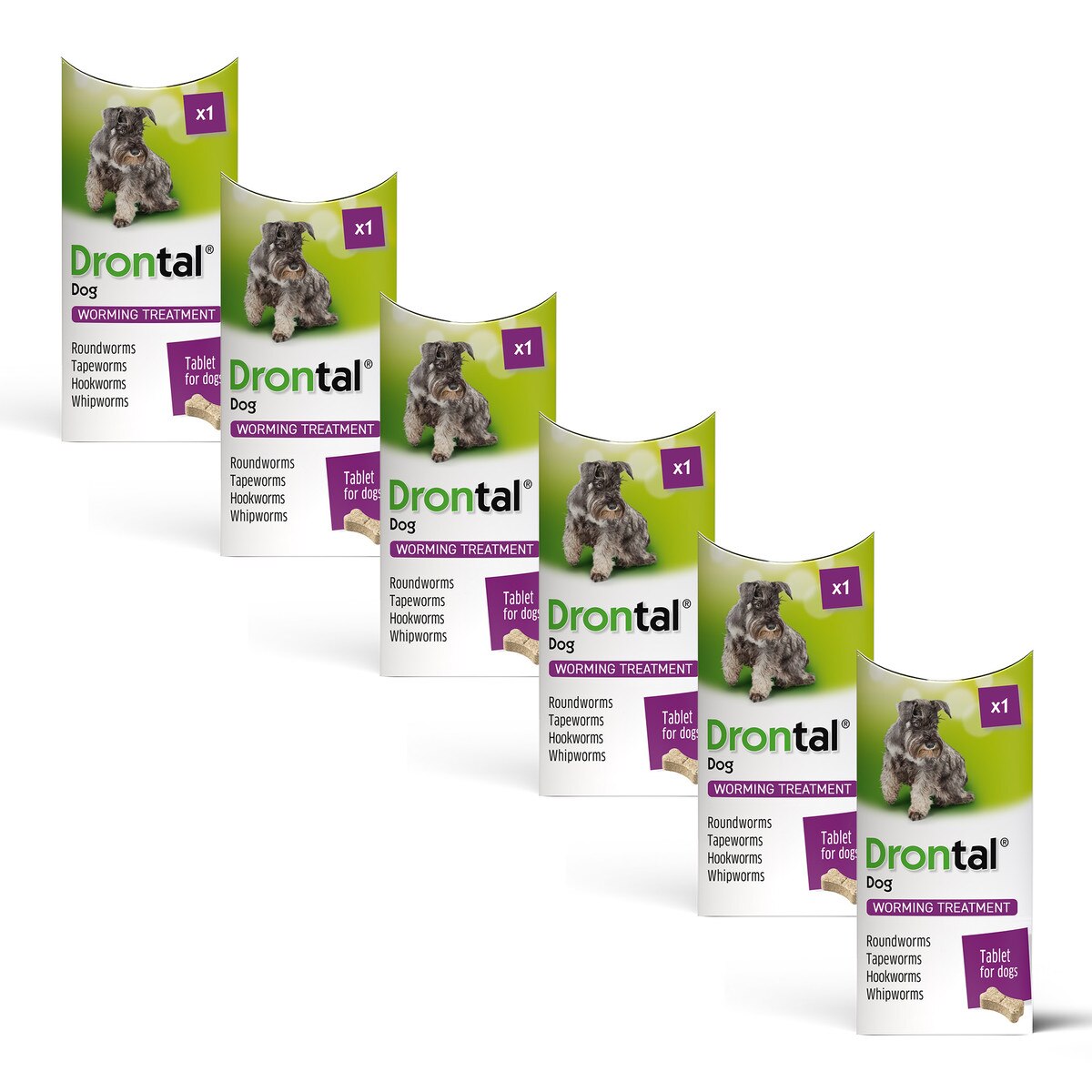 Drontal Winter Wormer Bundle for Small and Medium Dogs (2kg+) - 6 pack