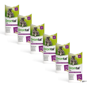 Drontal Winter Wormer Bundle for Small and Medium Dogs (2kg+) - 6 pack