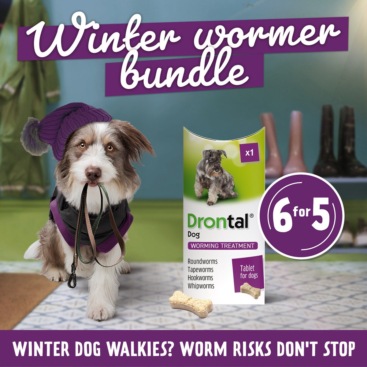 Drontal Winter Wormer Bundle for Small and Medium Dogs (2kg+) - 6 pack