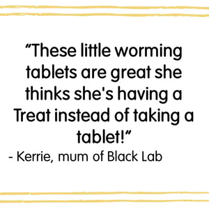 Veloxa Worming Tablets For Small and Medium Dogs - 1 Tablet ASW PET STORE